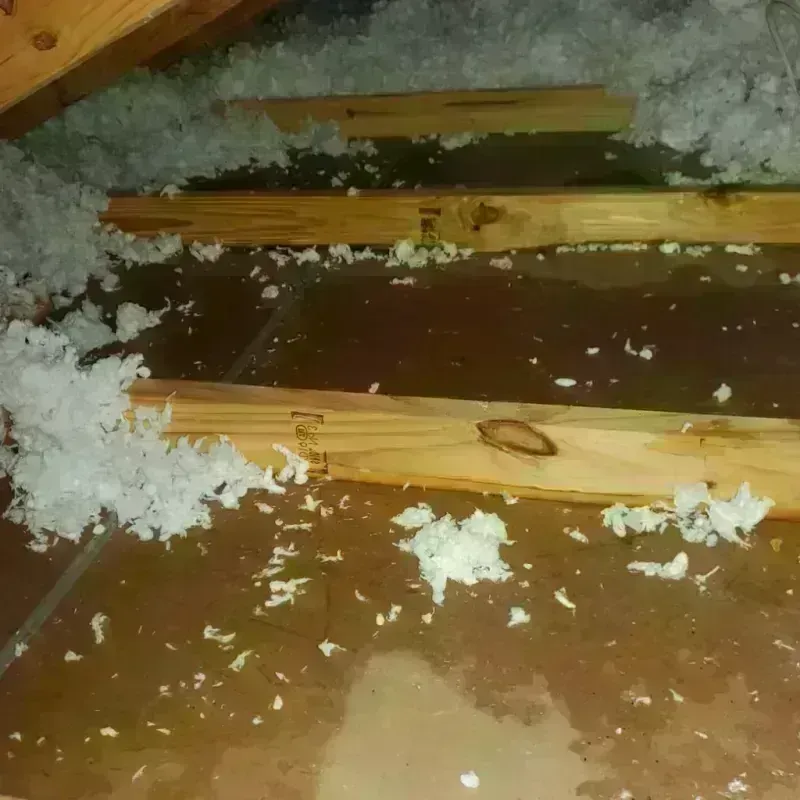 Attic Water Damage in Middleburg, PA